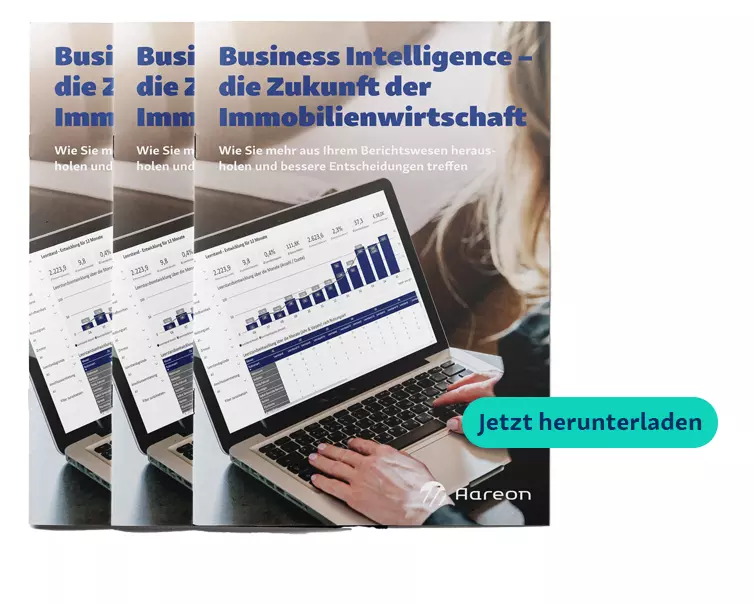 Whitepaper BI Download